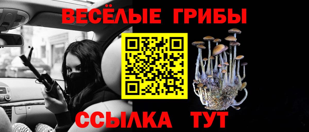 Богданович  Галлюциногенные грибы мухоморы  Вход с VPN 