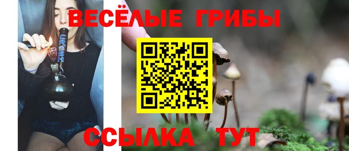 Псилоцибиновые грибы мухоморы Богданович