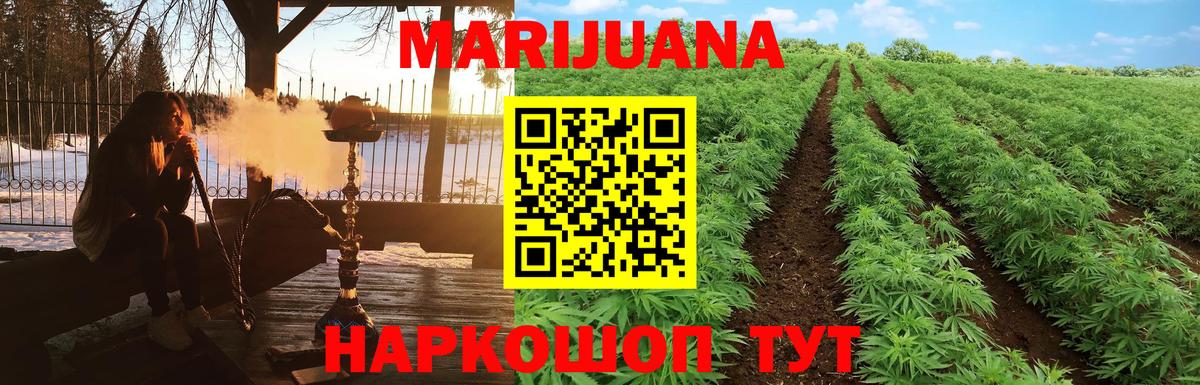 Каннабис конопля Богданович