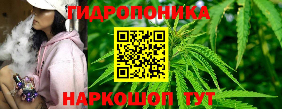 Марихуана план  Марихуана конопля  Вход с VPN  Богданович 